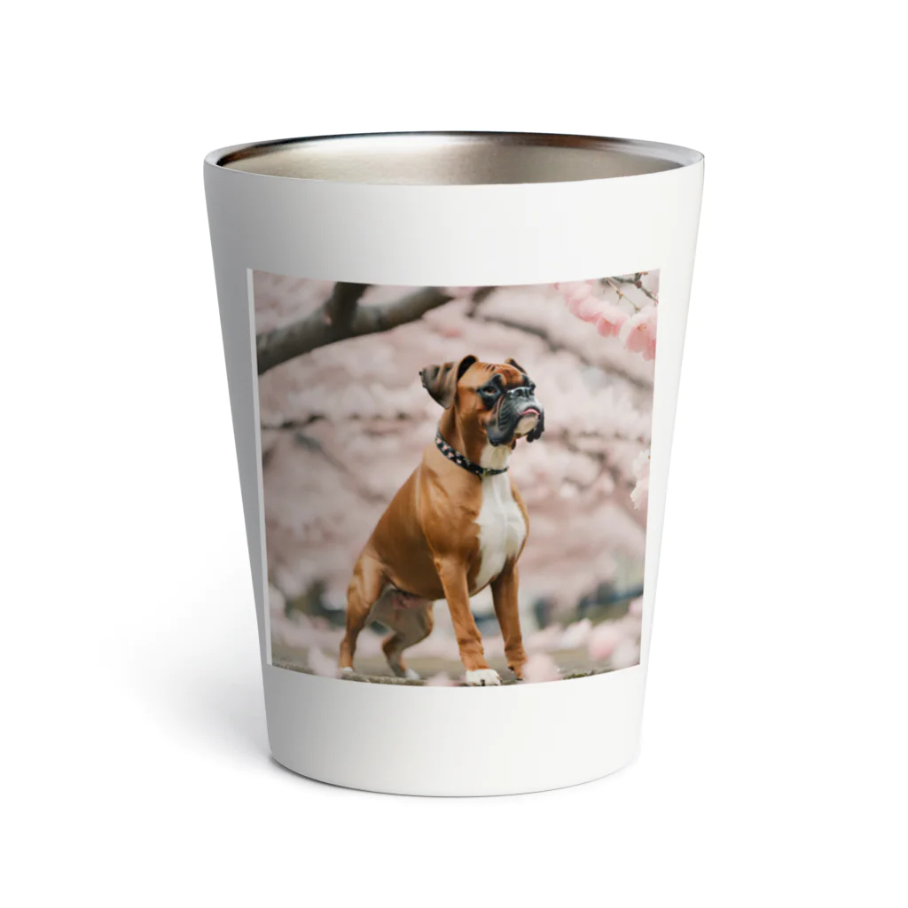 ボクサー犬が好きなんです❗の桜とボクサー犬 Thermo Tumbler