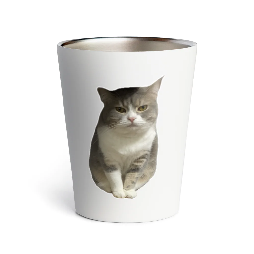 むっちり猫のむっちり丸の不機嫌な美猫 ミロ姫 Thermo Tumbler