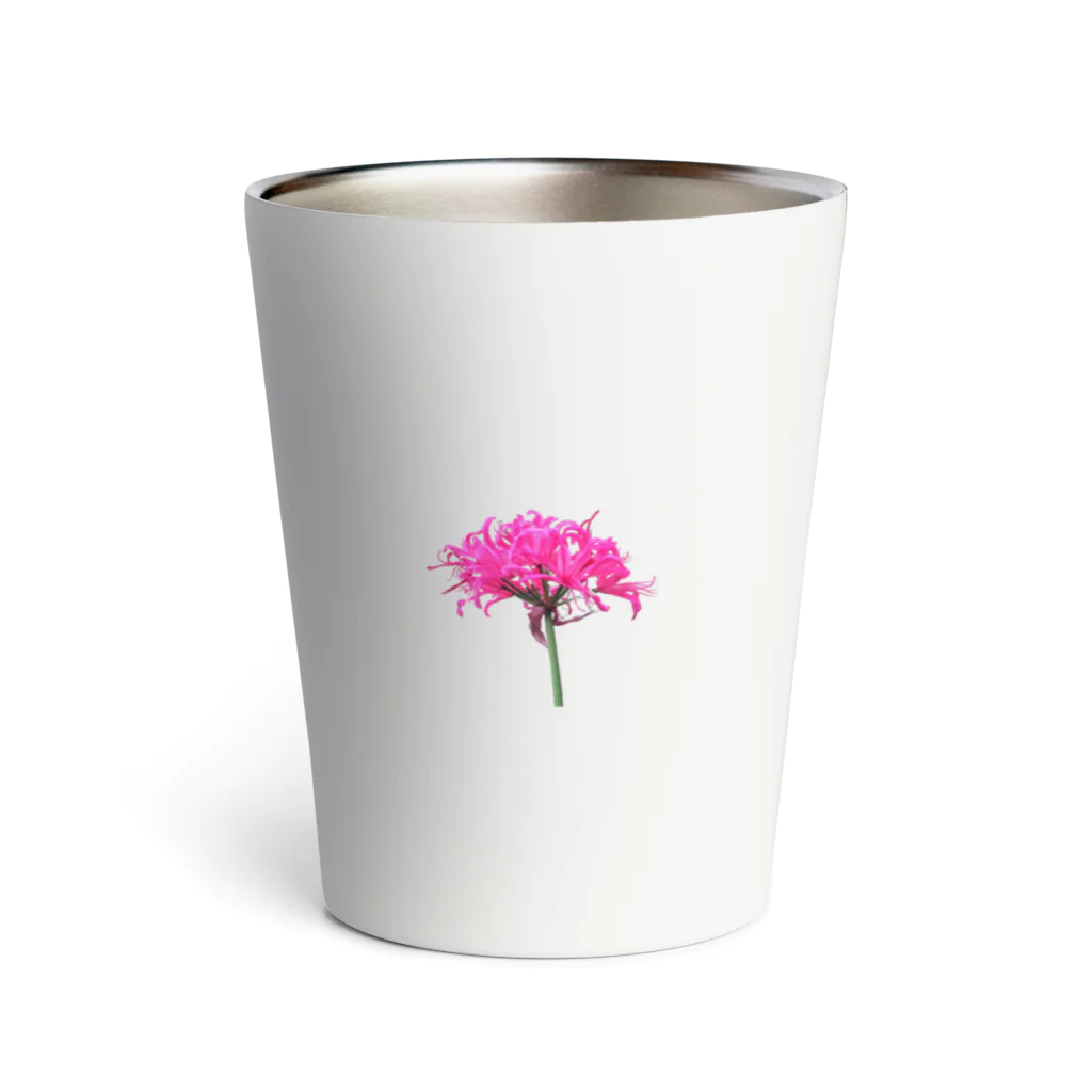 minaminokojimaの曼殊沙華 Thermo Tumbler