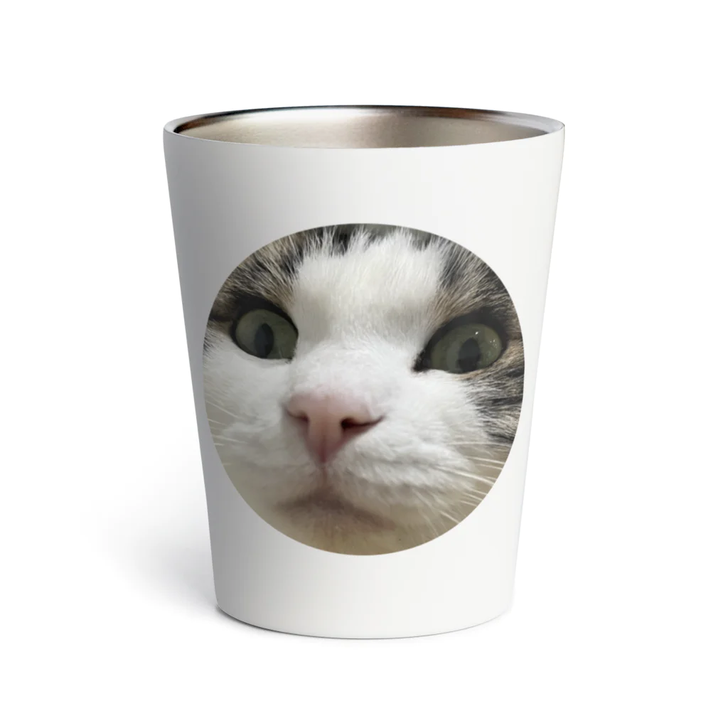 うちのにゃんず🐈のみーみーちゃんのメンチ Thermo Tumbler