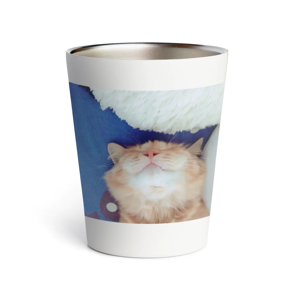 Mizuki・ASIA CATのcoco Thermo Tumbler