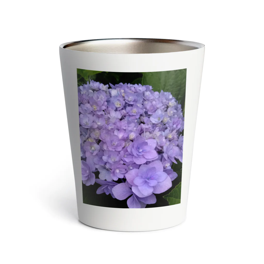 yurisacinの紫陽花（紫） Thermo Tumbler