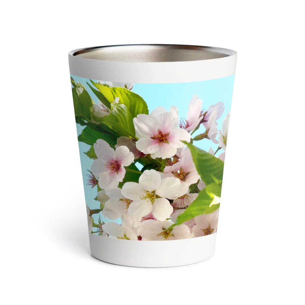 atelier_lapislazuliの桜 Thermo Tumbler