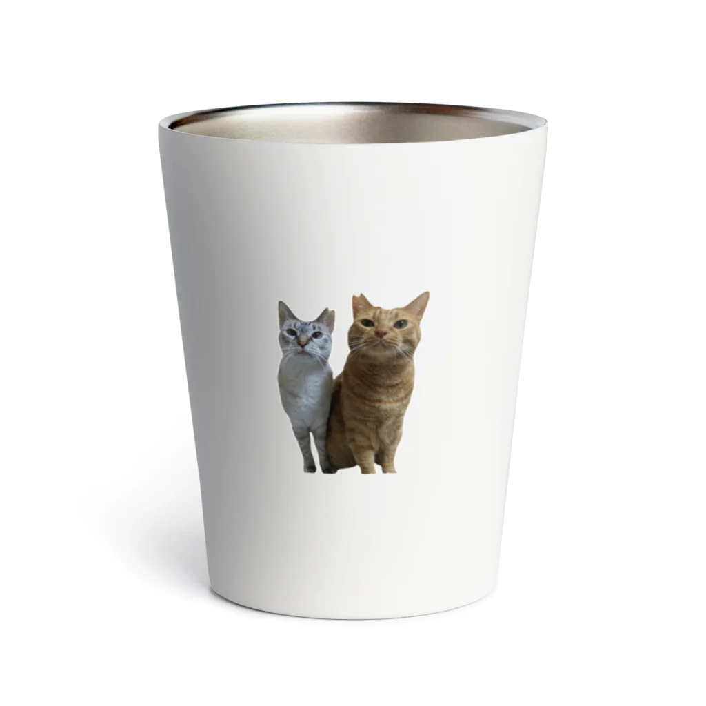 Aさん@😺里親募集中の茶トラとシャムトラ　兄妹猫 Thermo Tumbler