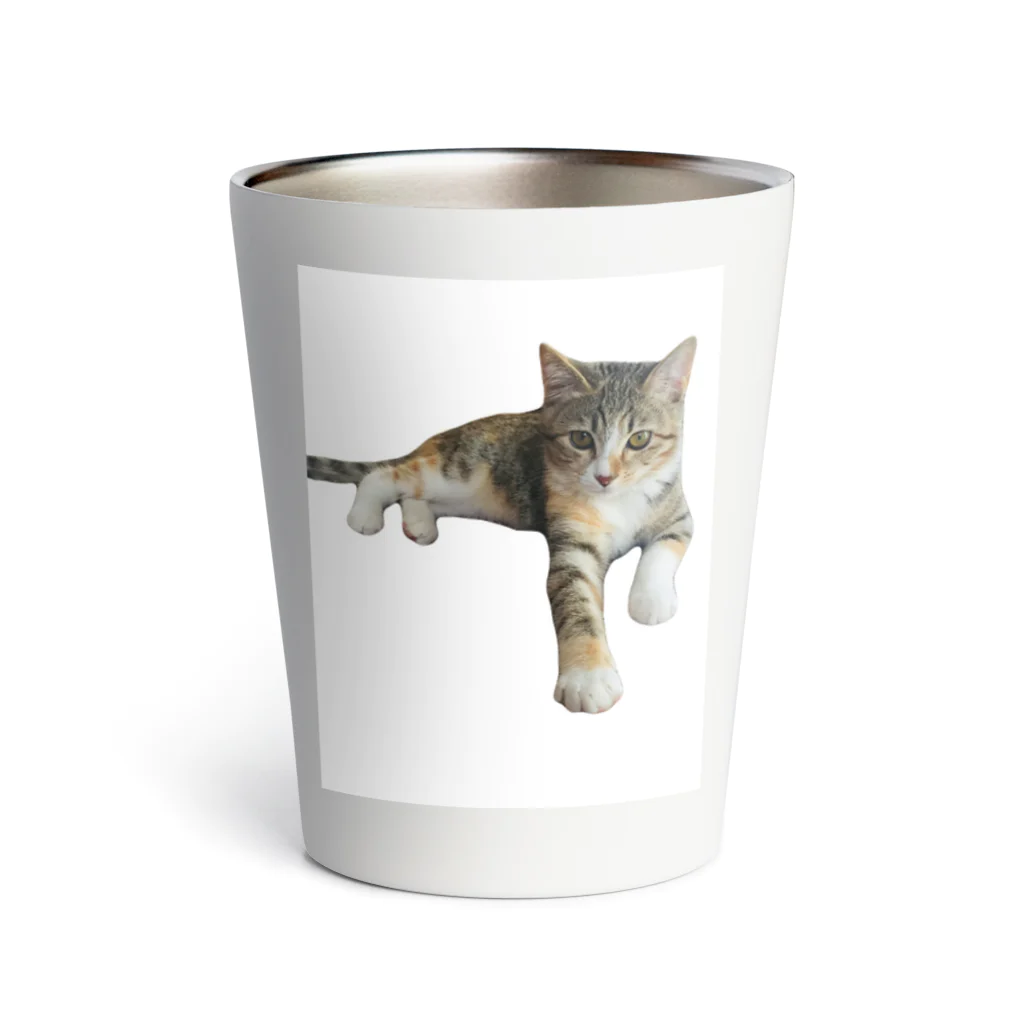 chobitanのリラックス猫ちゃん Thermo Tumbler