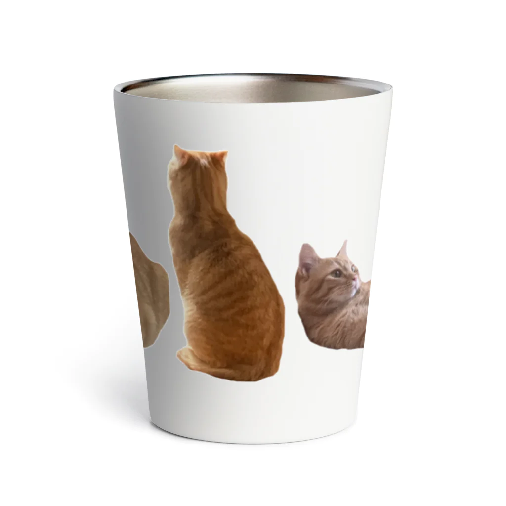 INCO CLUBの整列ねこ Thermo Tumbler