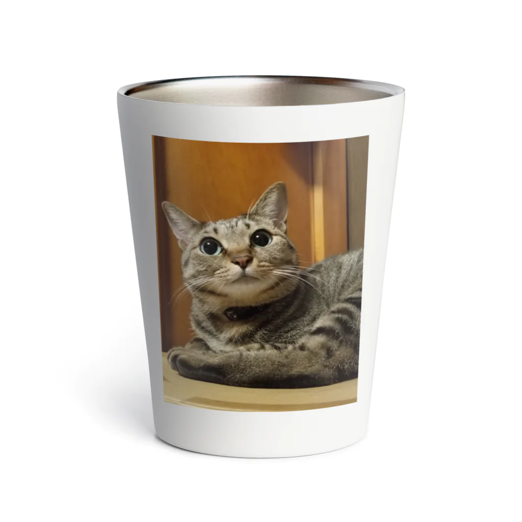 猫又雑貨店のあざ猫さん Thermo Tumbler