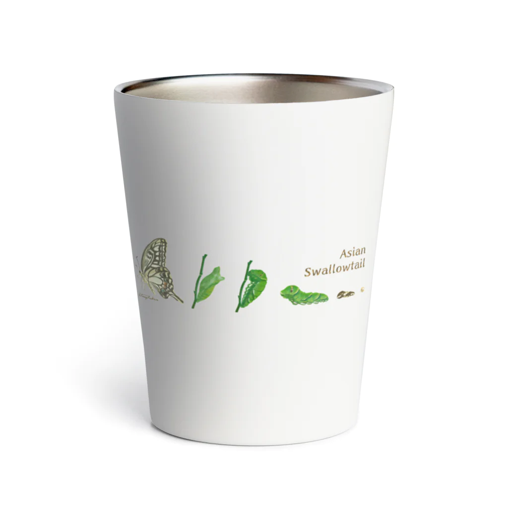 kitaooji shop SUZURI店のAsian Swallowtail Thermo Tumbler