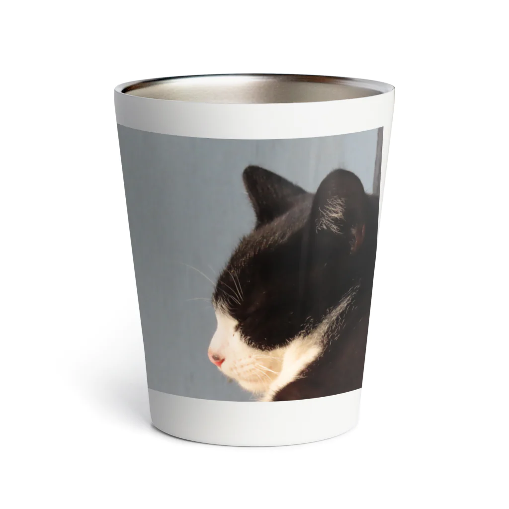 でおきしりぼ子の実験室の猫であるということ(1) Thermo Tumbler