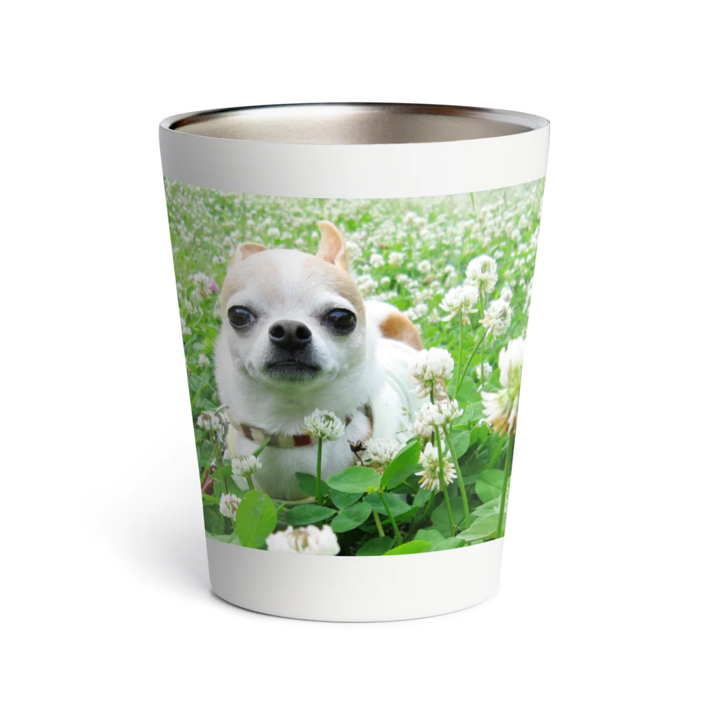 akane_art（茜音工房）のカラフルチワワ（クローバー） Thermo Tumbler