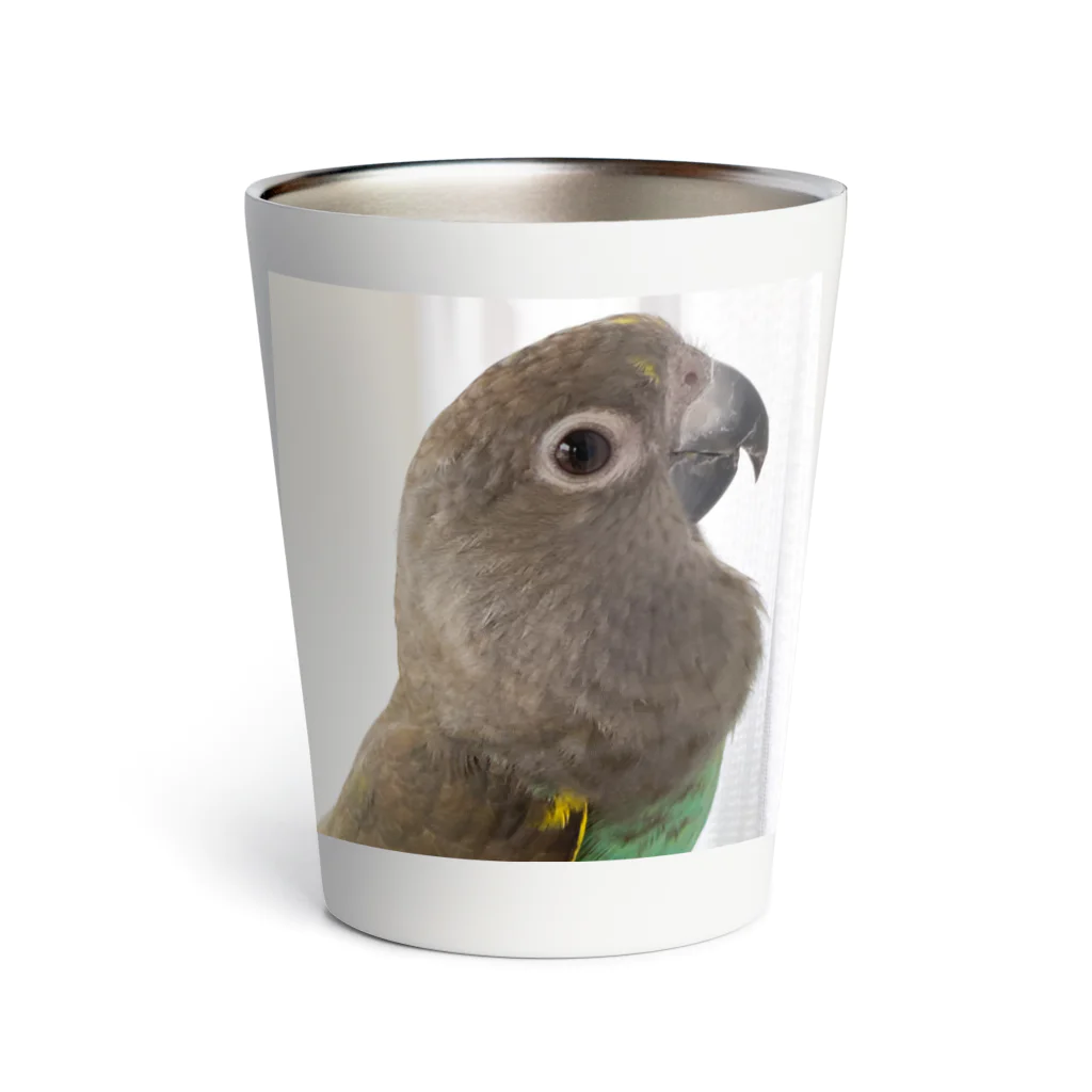 きいさんのムラクモインコMUU〔KIITODAY〕 Thermo Tumbler