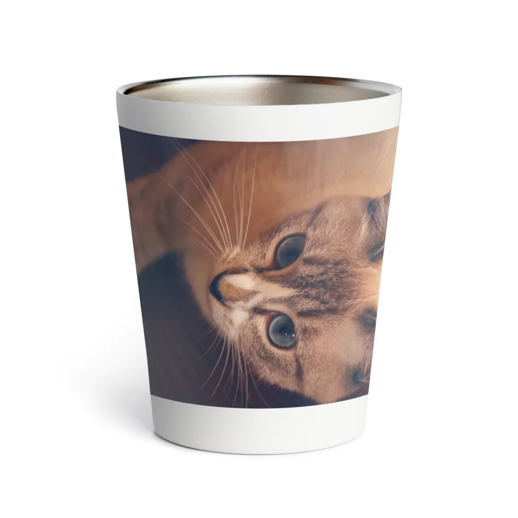 猫とか虫とかのおゆんゆんサーモタンブラー Thermo Tumbler