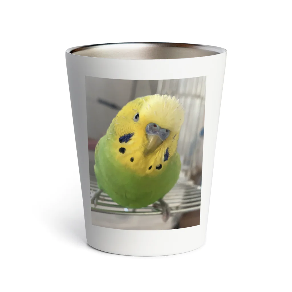 セキセイインコのきぃちゃんshopのセキセイインコ1 Thermo Tumbler