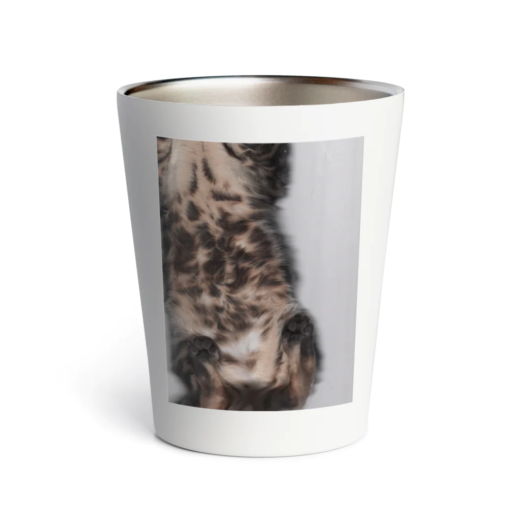 せつさんのねこうら Thermo Tumbler