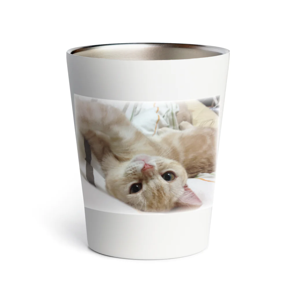 ねこたちのみつサーモ Thermo Tumbler