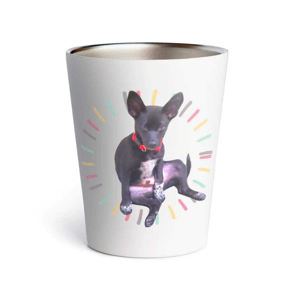 犬派が子猫を拾ったのでのはっちゃん Thermo Tumbler