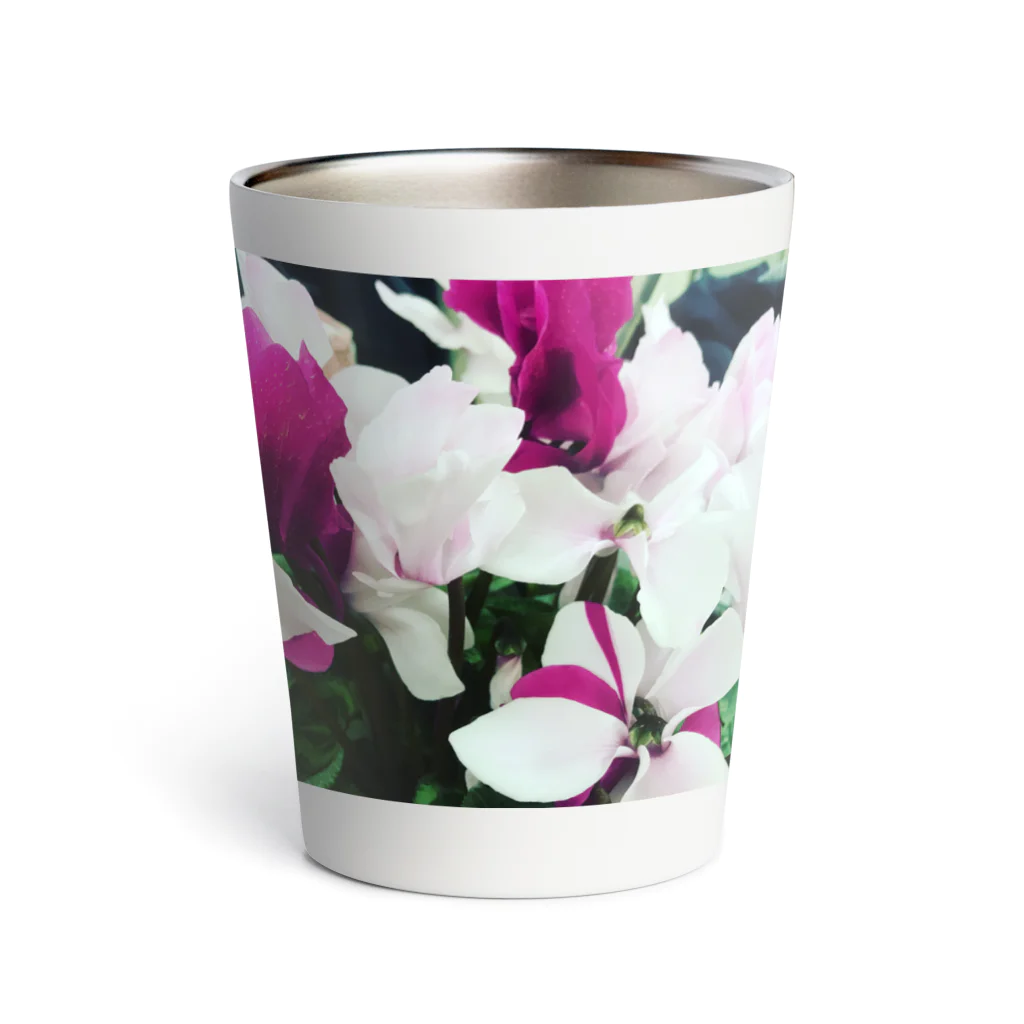 prosopocoilusunのCyclamen Thermo Tumbler