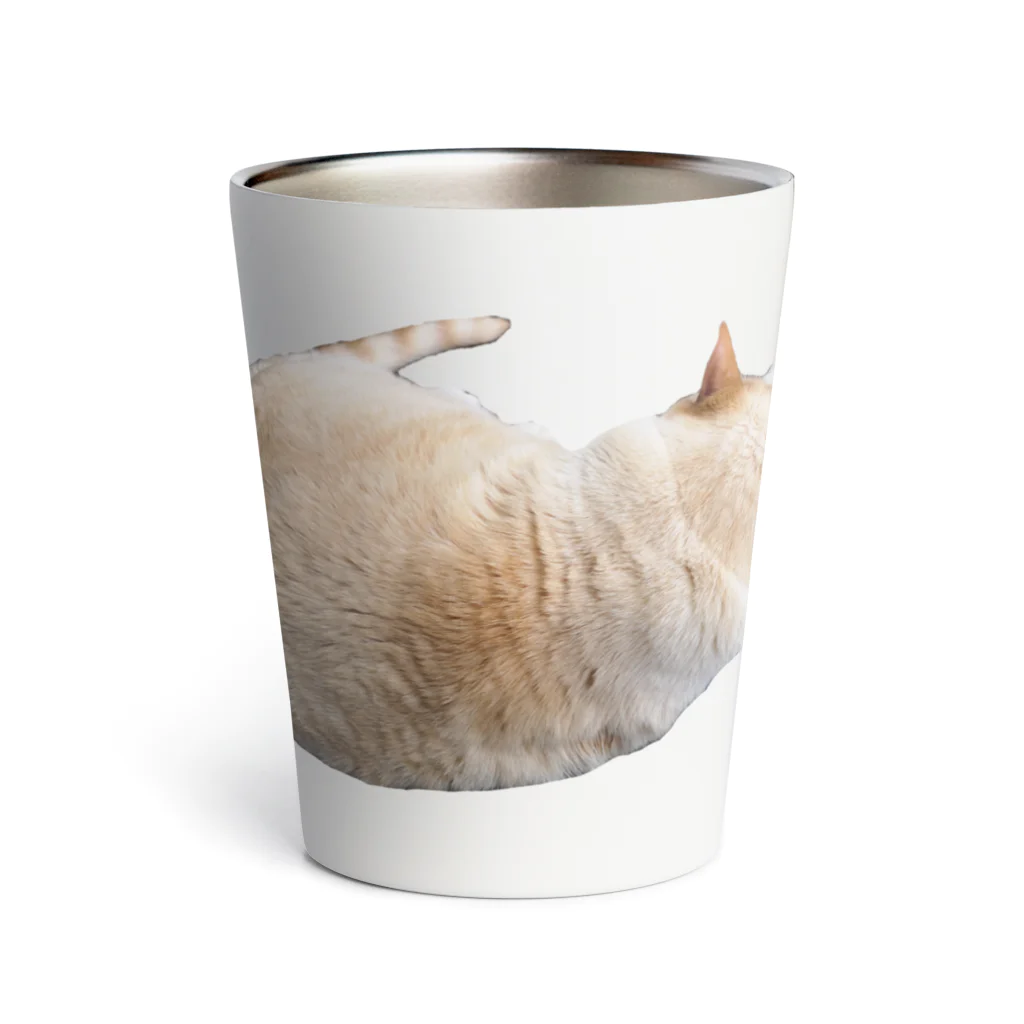 もっちりねこのもっちりねこ Thermo Tumbler