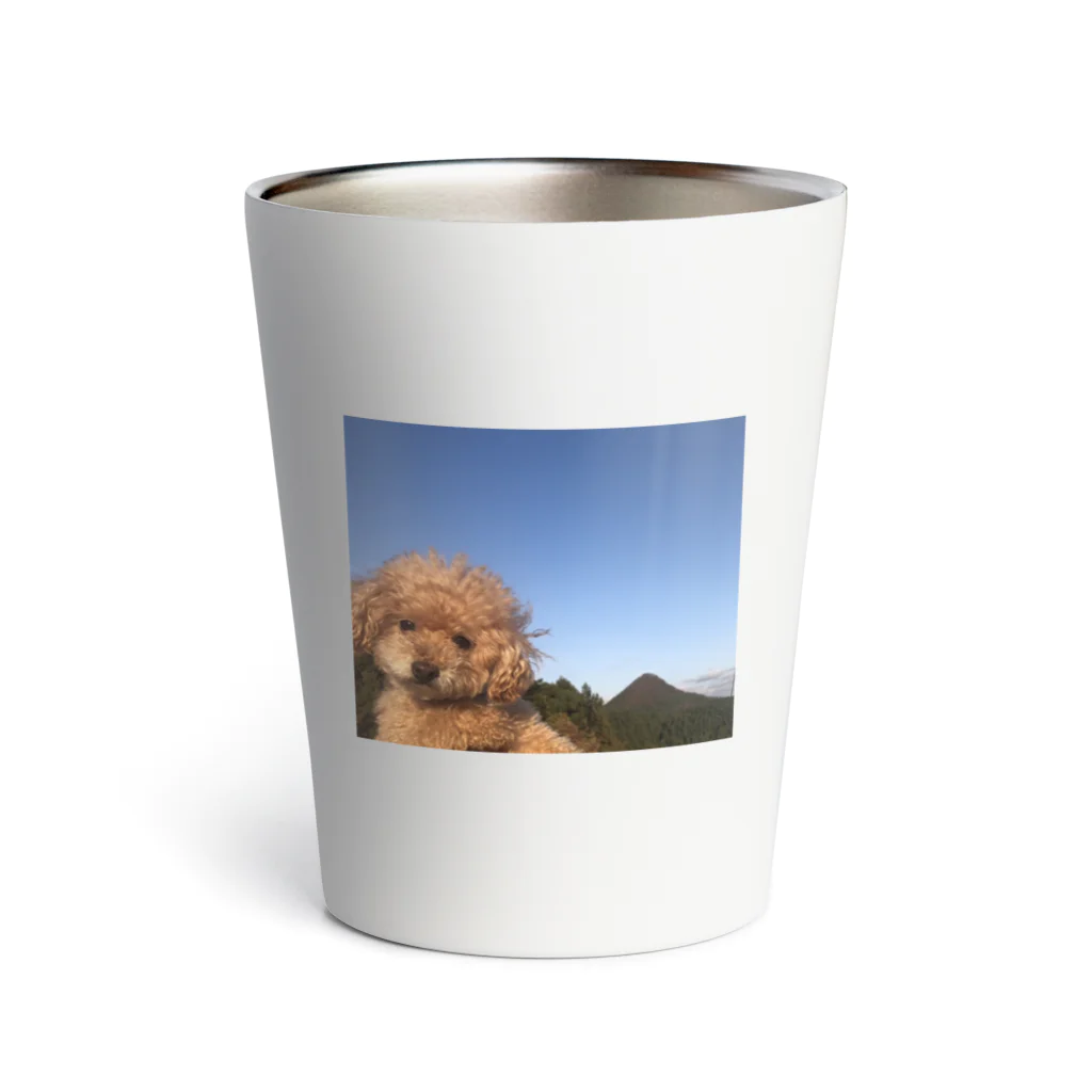 ぶぅちょろ🐶🐻🧡の太白山とめいちやん Thermo Tumbler