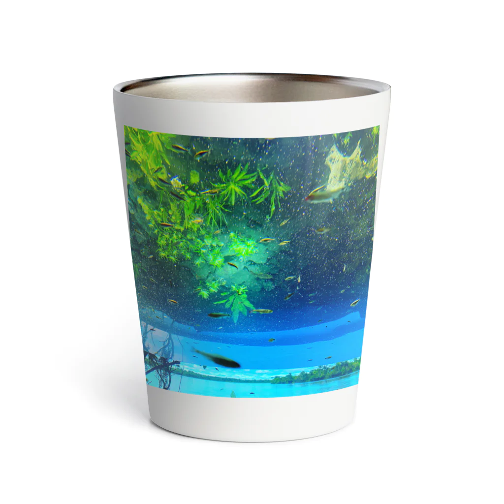 角笛とハレー彗星の魚と同じ目線になる Thermo Tumbler