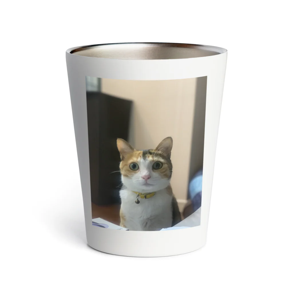 monekosideの保護猫まくらちゃん！ Thermo Tumbler