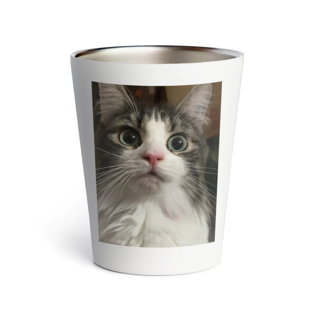 ねこねこねこのおどろきねこ Thermo Tumbler