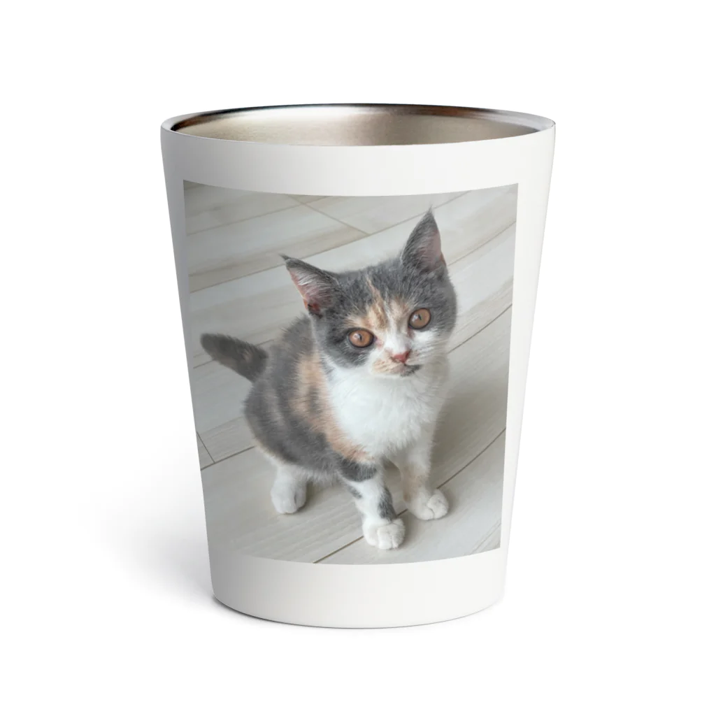 ねこのジゼルのかわいい（背景あり） Thermo Tumbler