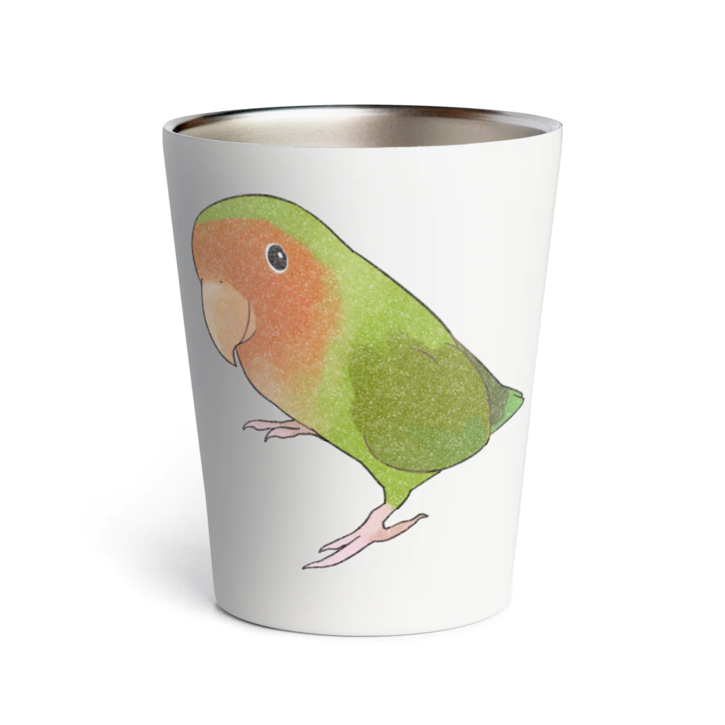 まめるりはことりの見つめるコザクラインコちゃん【まめるりはことり】 Thermo Tumbler