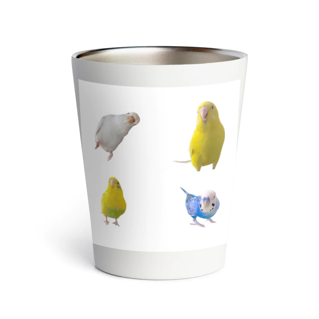 インコまるけのインコまるけ4羽集合‼︎ Thermo Tumbler