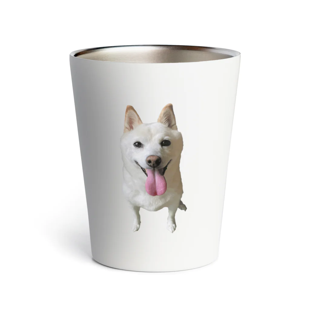 白柴犬 小梅の小梅っちで飲む(QRナシ) Thermo Tumbler