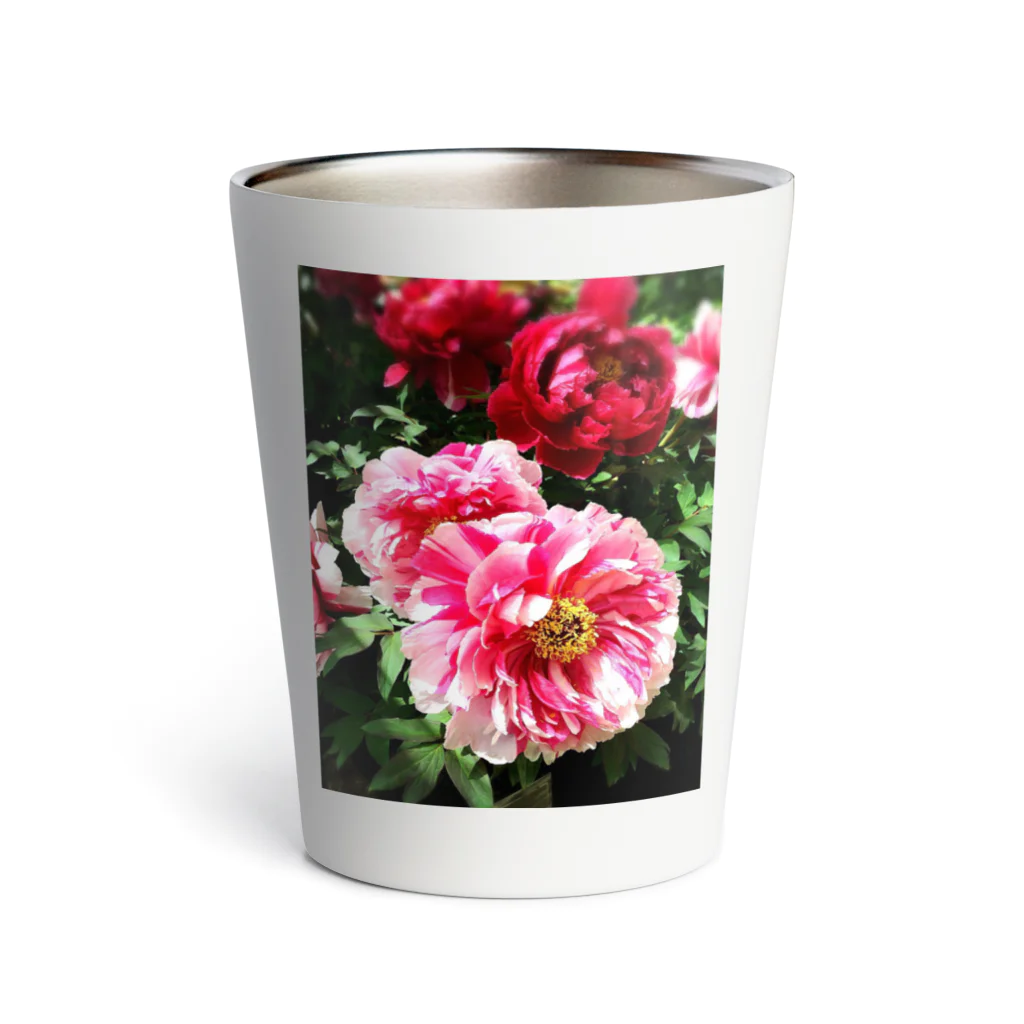 mklapinの華やかな芍薬 Thermo Tumbler