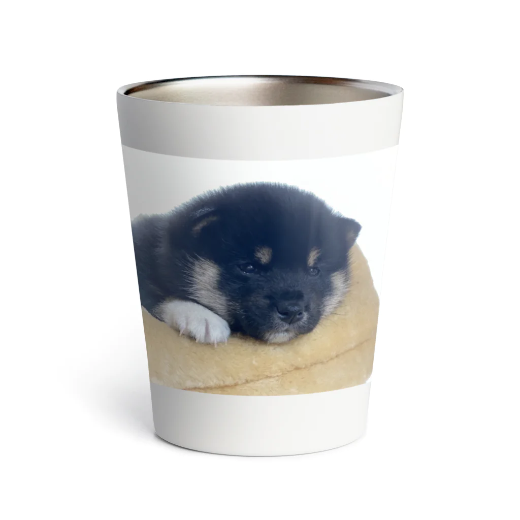 小豆のこまめくん Thermo Tumbler