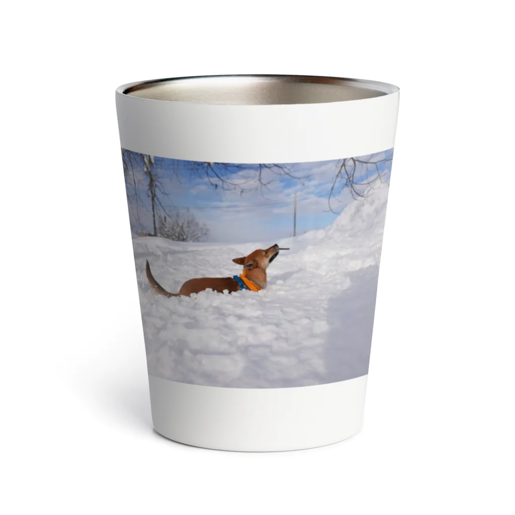 なまけものの雪景色りくちゃん Thermo Tumbler