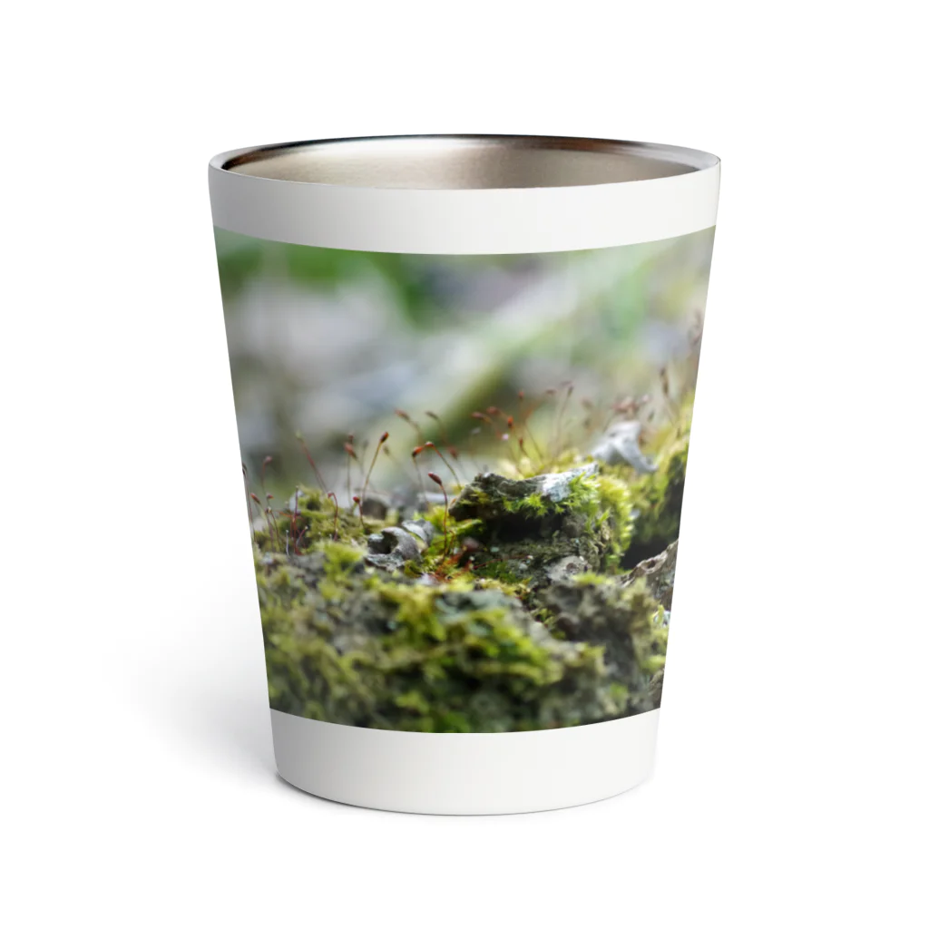 ﾛｯﾄﾓｰﾝﾄの苔むした Thermo Tumbler