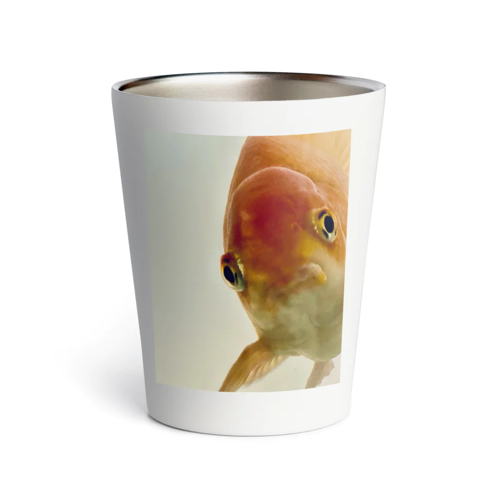 アヒル屋のちょいオコ金魚くん Thermo Tumbler