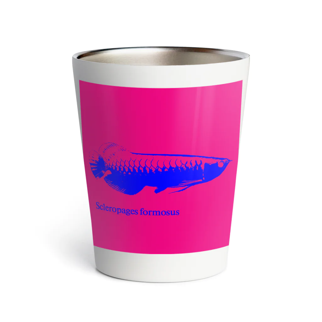 hikuriのアジアアロワナ　学名入り Thermo Tumbler