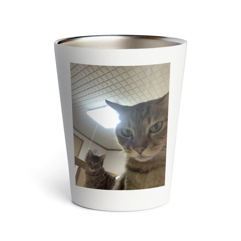 ピースです🍼の猫の自撮り風写真 Thermo Tumbler