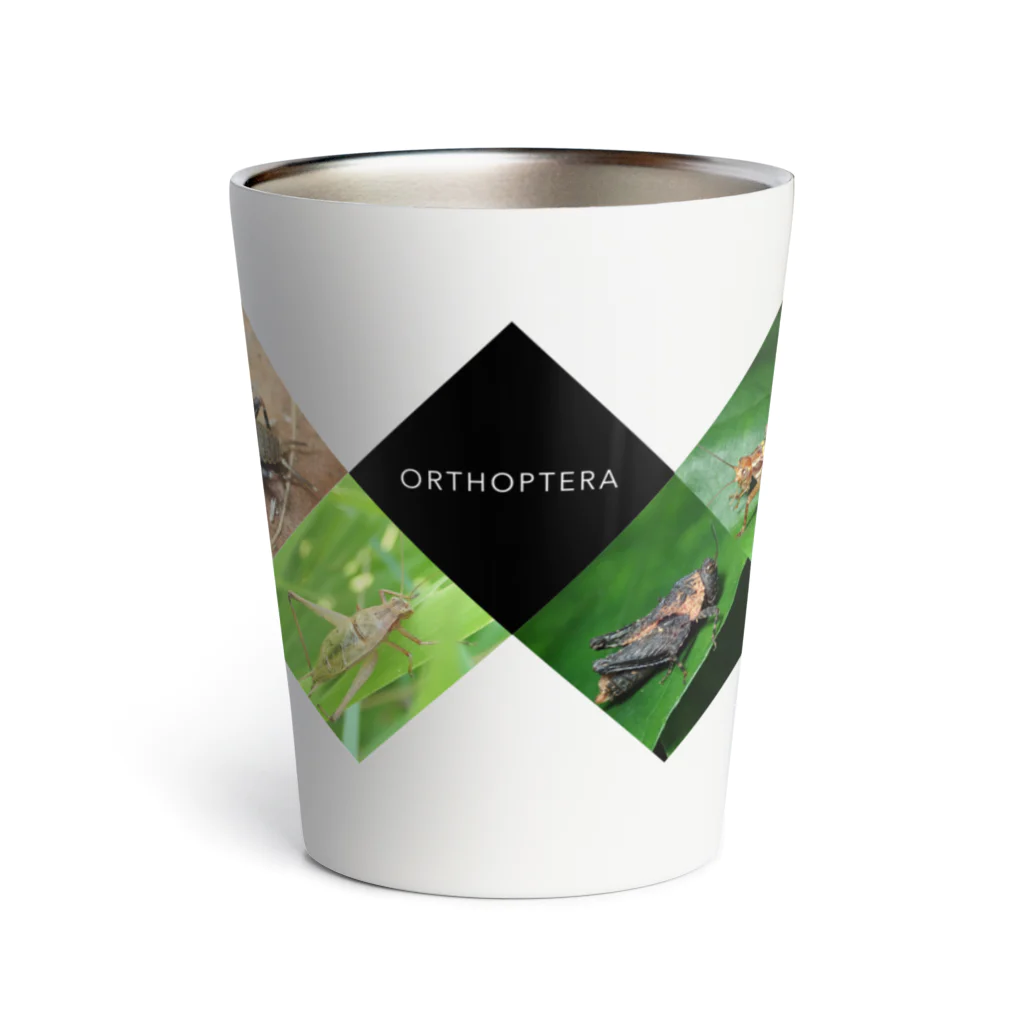 直翅類.jpのORTHOPTERA Thermo Tumbler