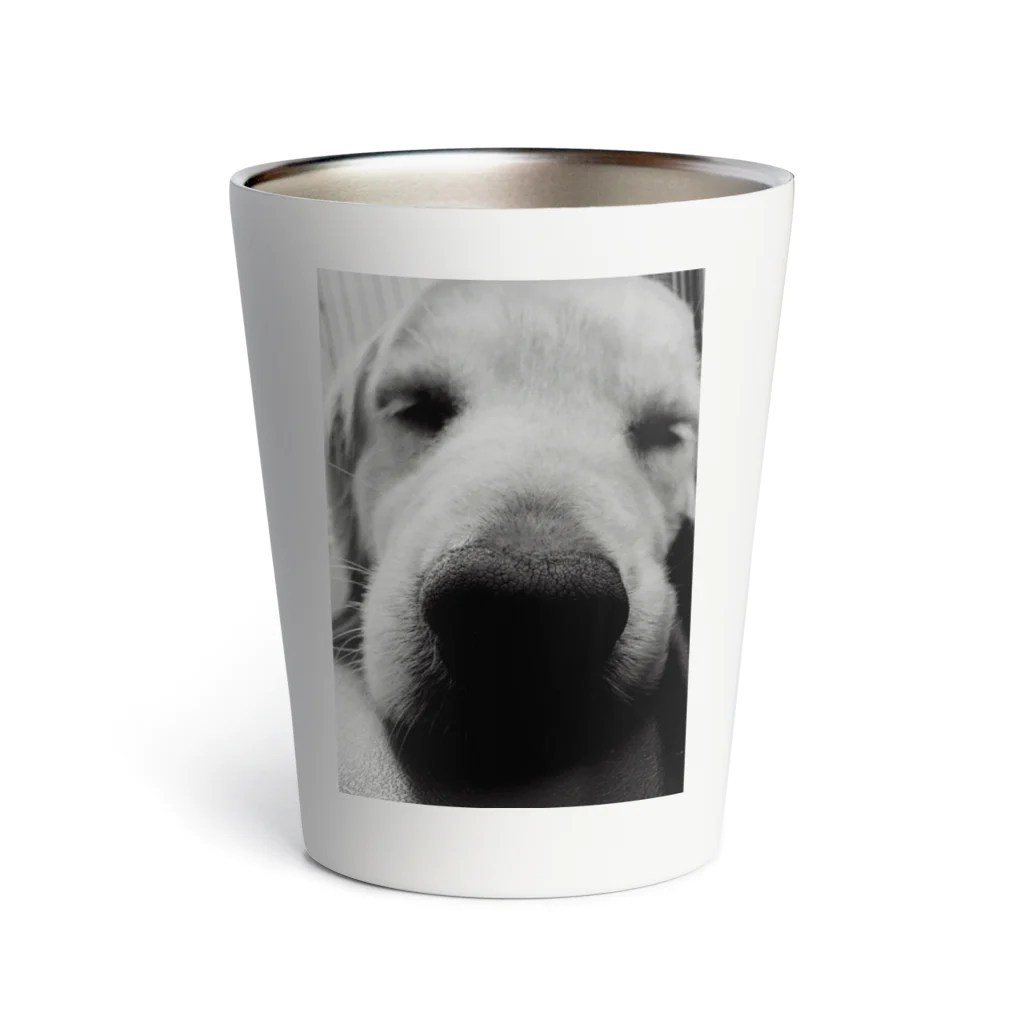 crowolf のgolden retriever Thermo Tumbler