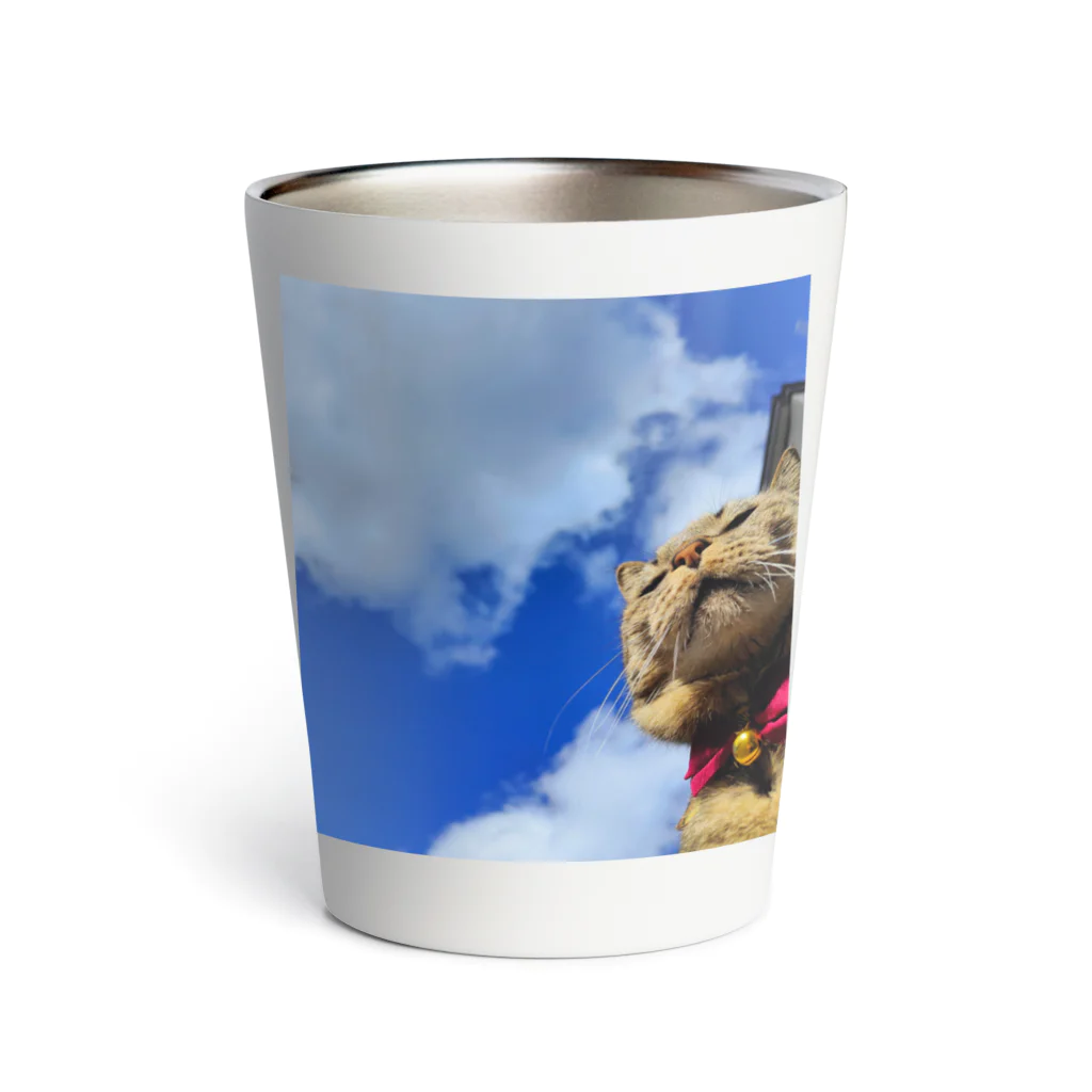 ココたぬStudioのたぬ空 Thermo Tumbler