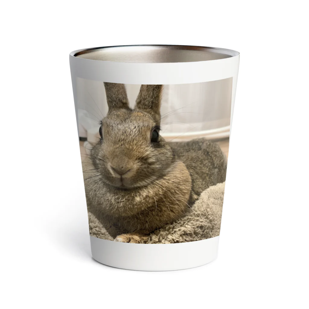 里子うさぎのきびちゃんのうさぎのきびちゃん Thermo Tumbler