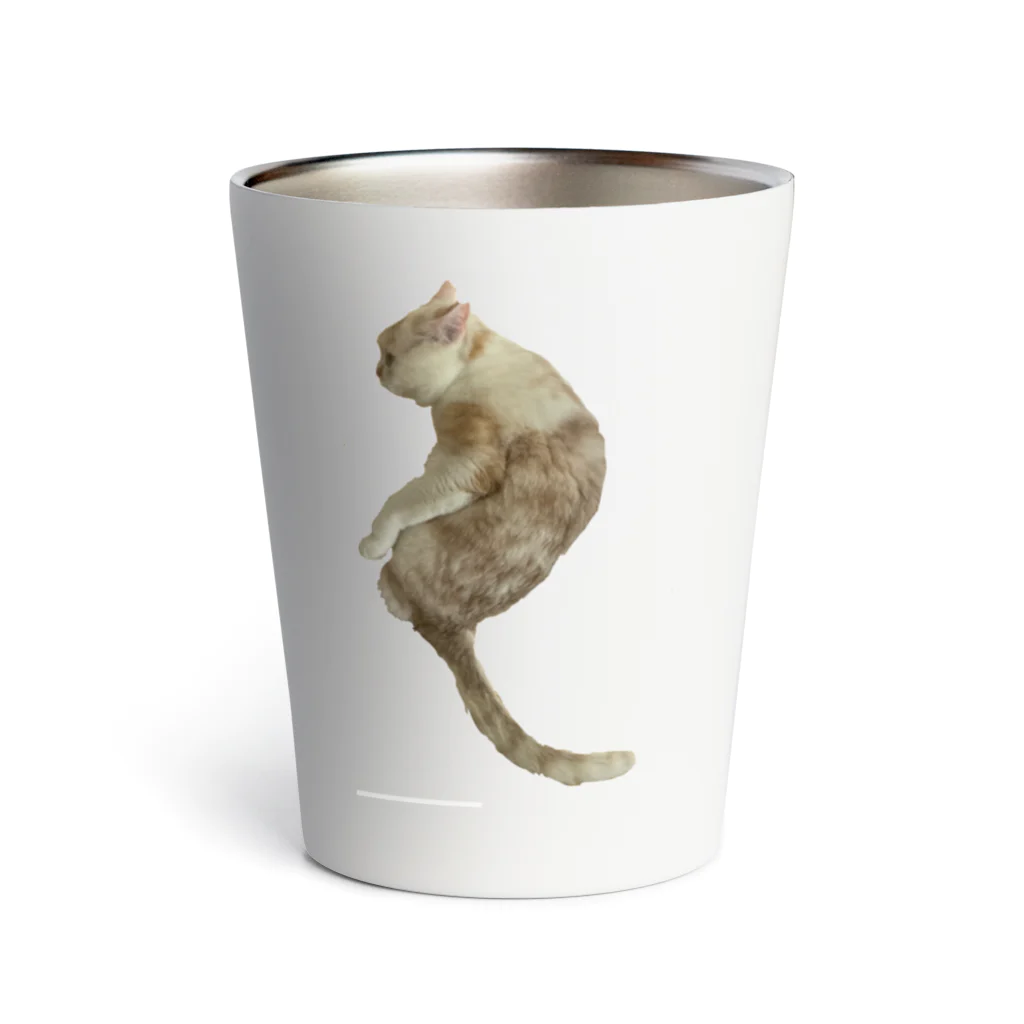 我が家の猫『なると』くんのなるとくん　タンブラー Thermo Tumbler