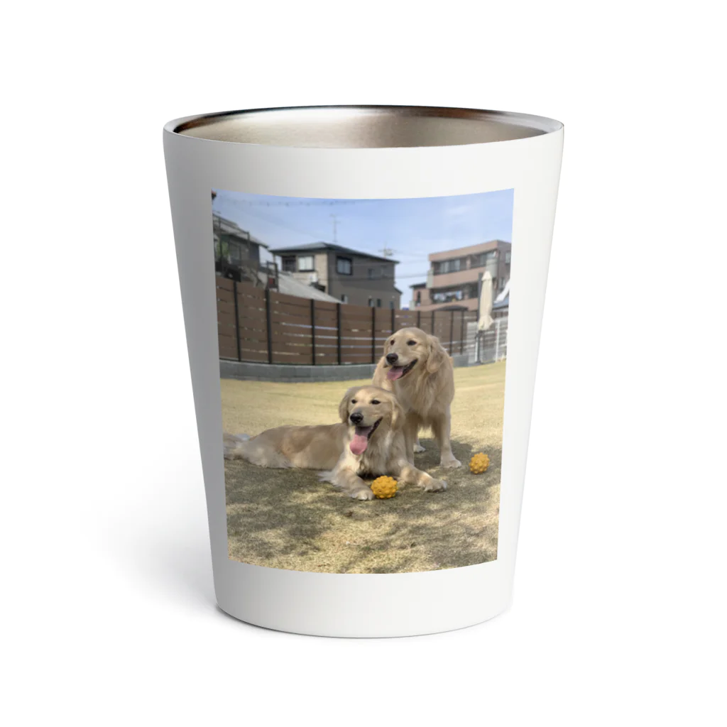 Golden Retriever Sarah&TaroのGolden Retriever Sarah&Taro2 Thermo Tumbler