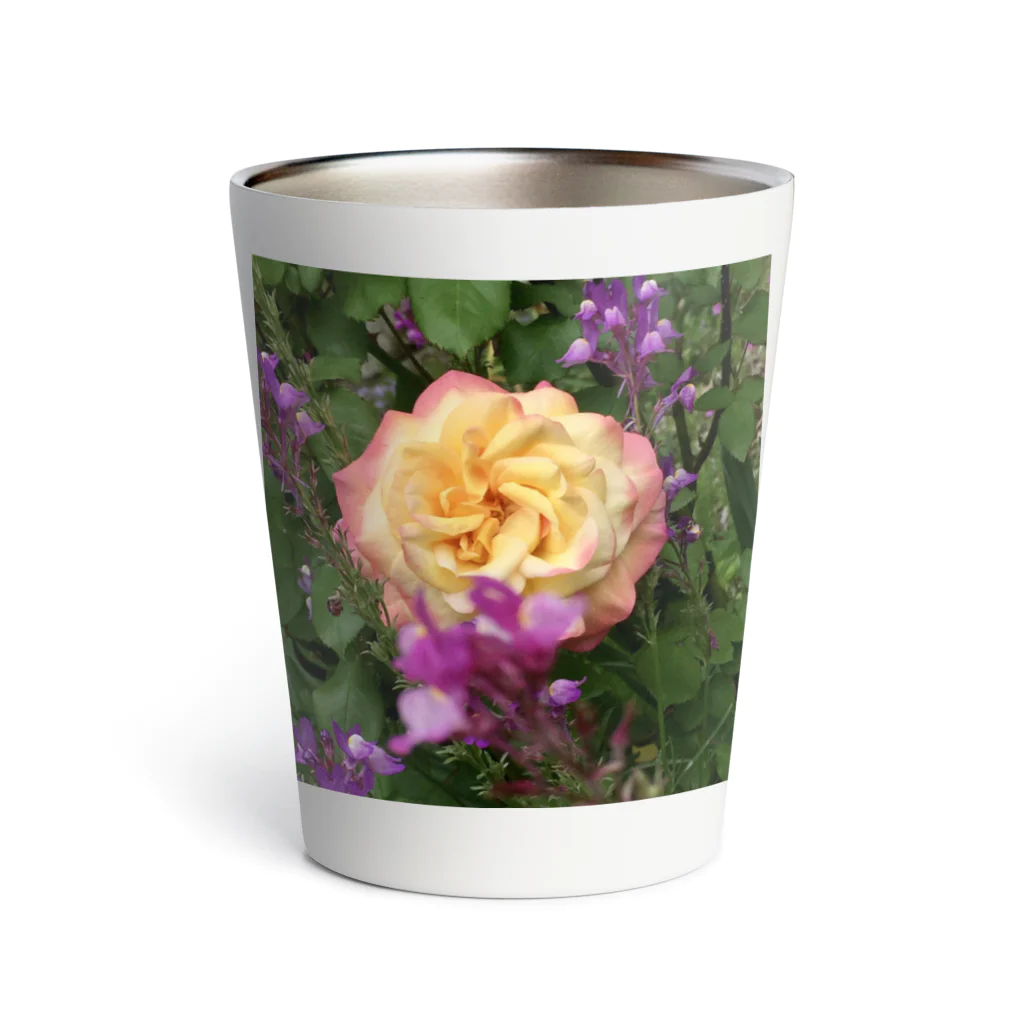 そらもようのバラ🌹 Thermo Tumbler