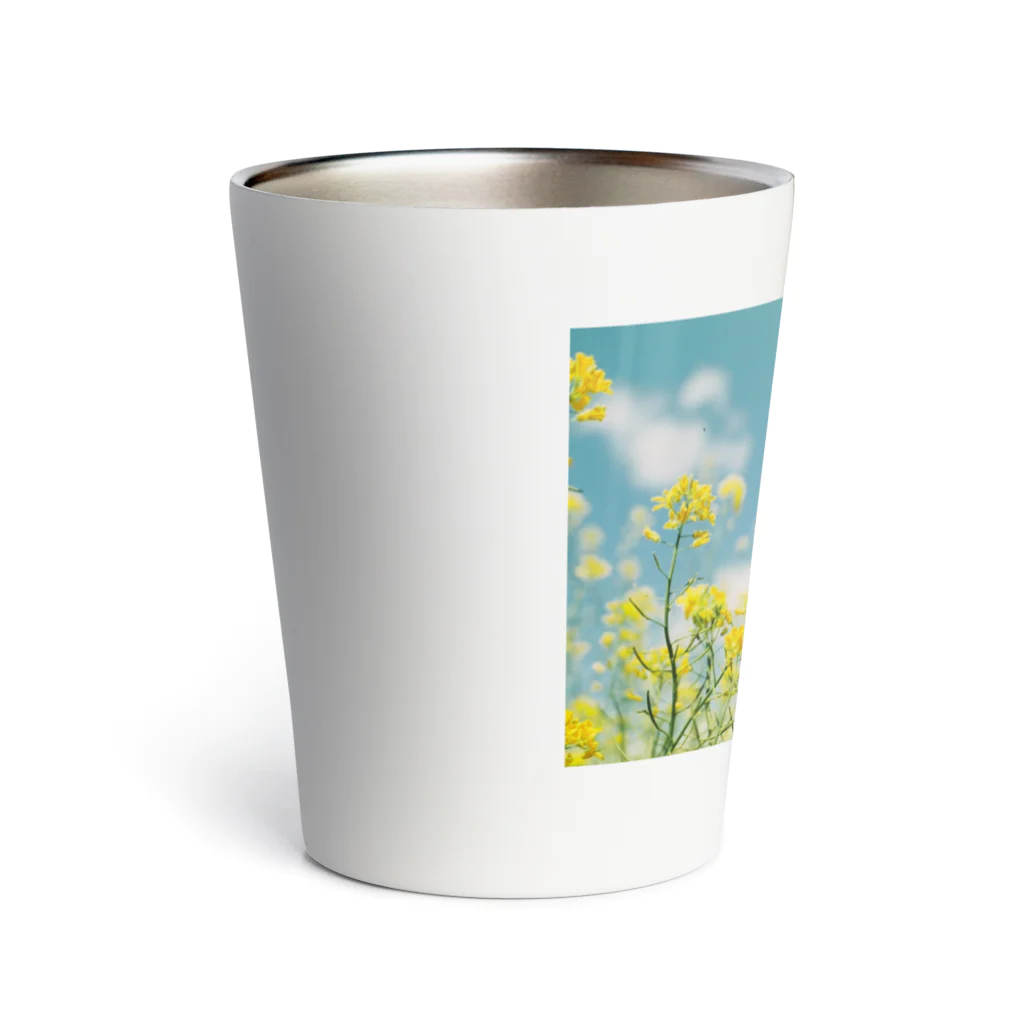 mofufu picturesのRape blossoms Thermo Tumbler