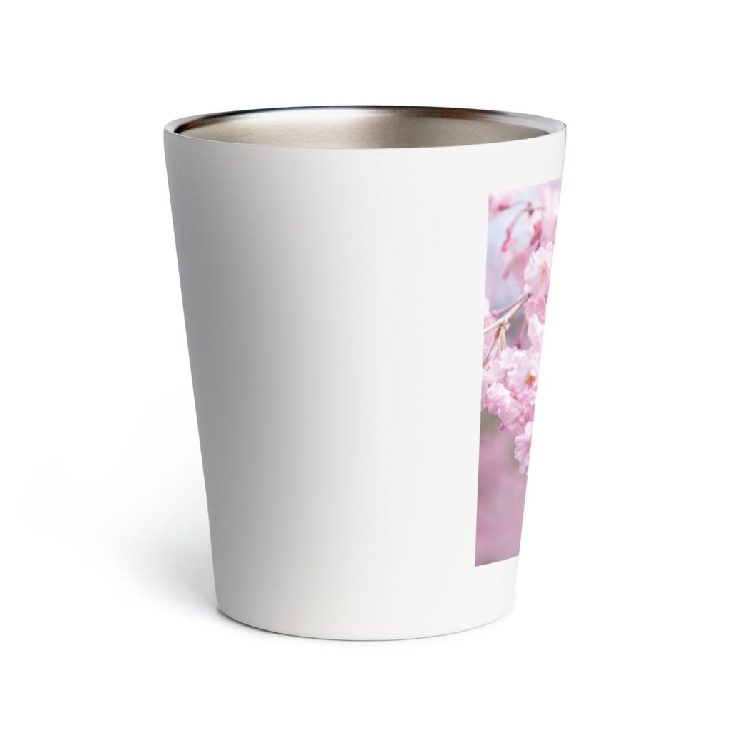 akane_art（茜音工房）の癒しの風景（八重桜） Thermo Tumbler
