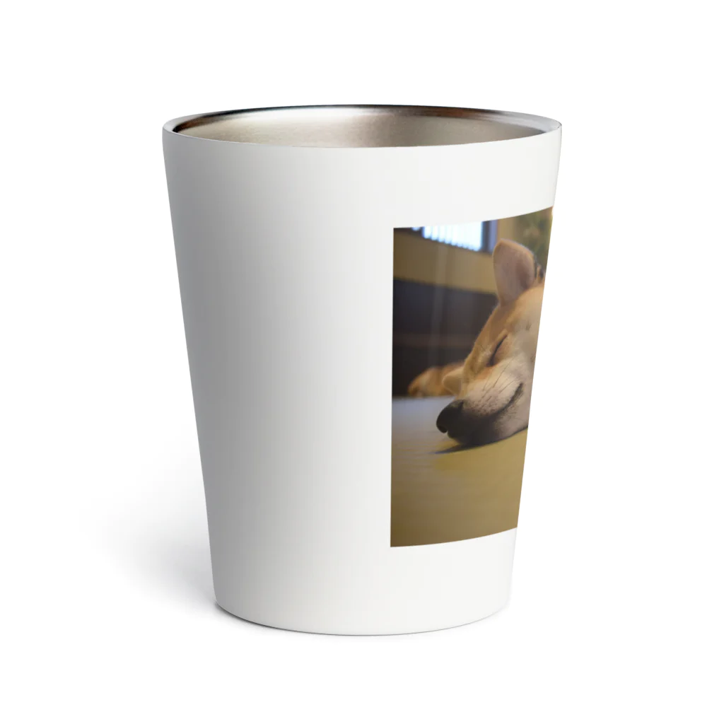 oochan03の柴犬 Thermo Tumbler