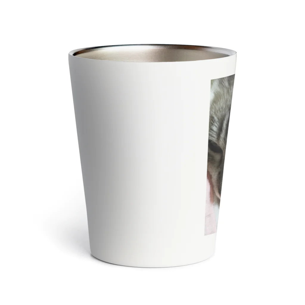 ねこの森でお散歩のドアップシャムミックス Thermo Tumbler