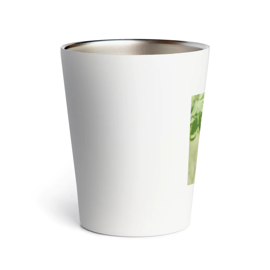 Amie's Gardenのハーブのお店のダマスクローズ Thermo Tumbler