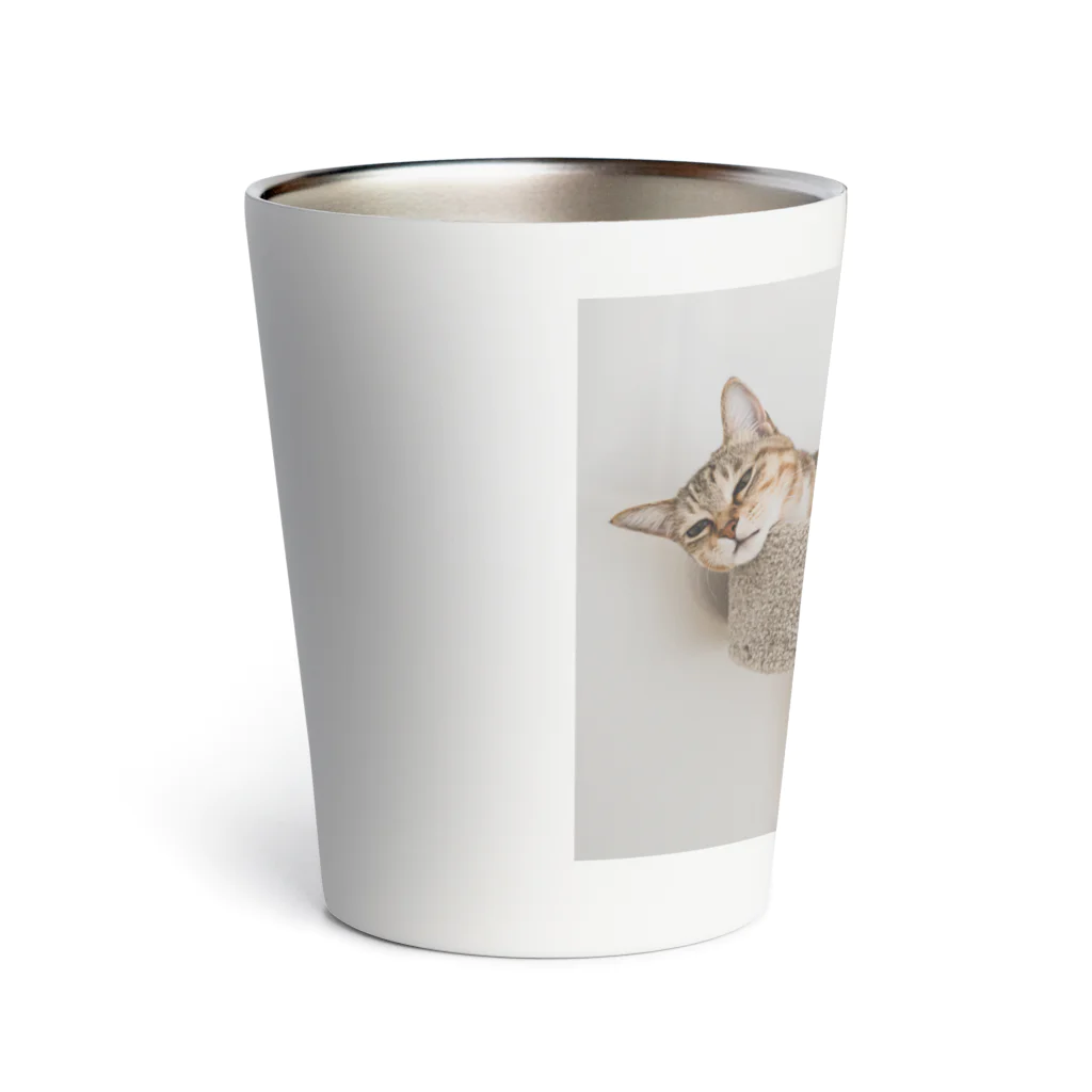 gaga_the_catのねむいガガ Thermo Tumbler